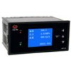 上润精密可编程天然气流量积算仪WP-LN803-22